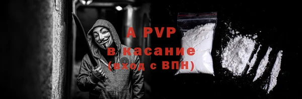 спиды Богданович