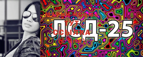 спиды Богданович