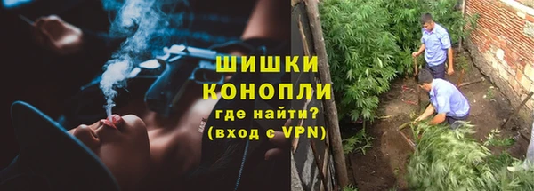 спиды Богданович