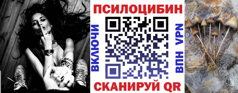 гидра онион  Чебоксары  Псилоцибиновые грибы GOLDEN TEACHER  где можно купить наркотик 